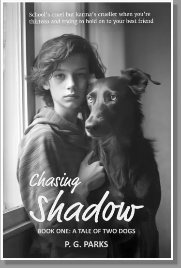Chasing Shadow Book One cover image in grey tones